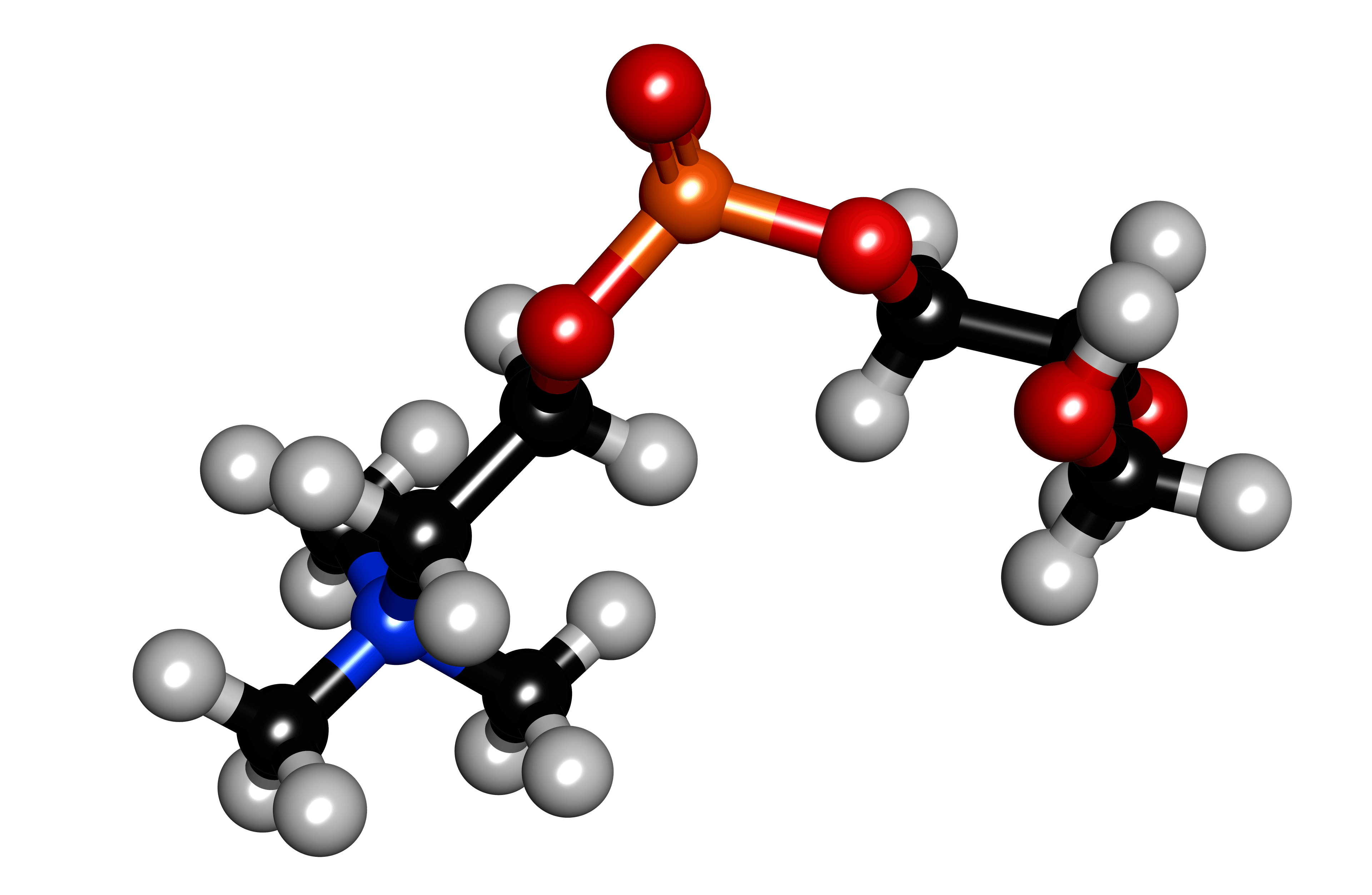 Alpha-GPC reference