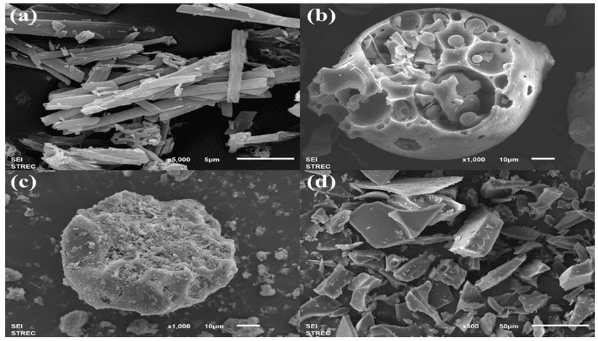 Quercetin antioxidant and cellular-resilience study reference